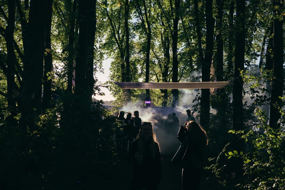 Dusk falling on the forest stage