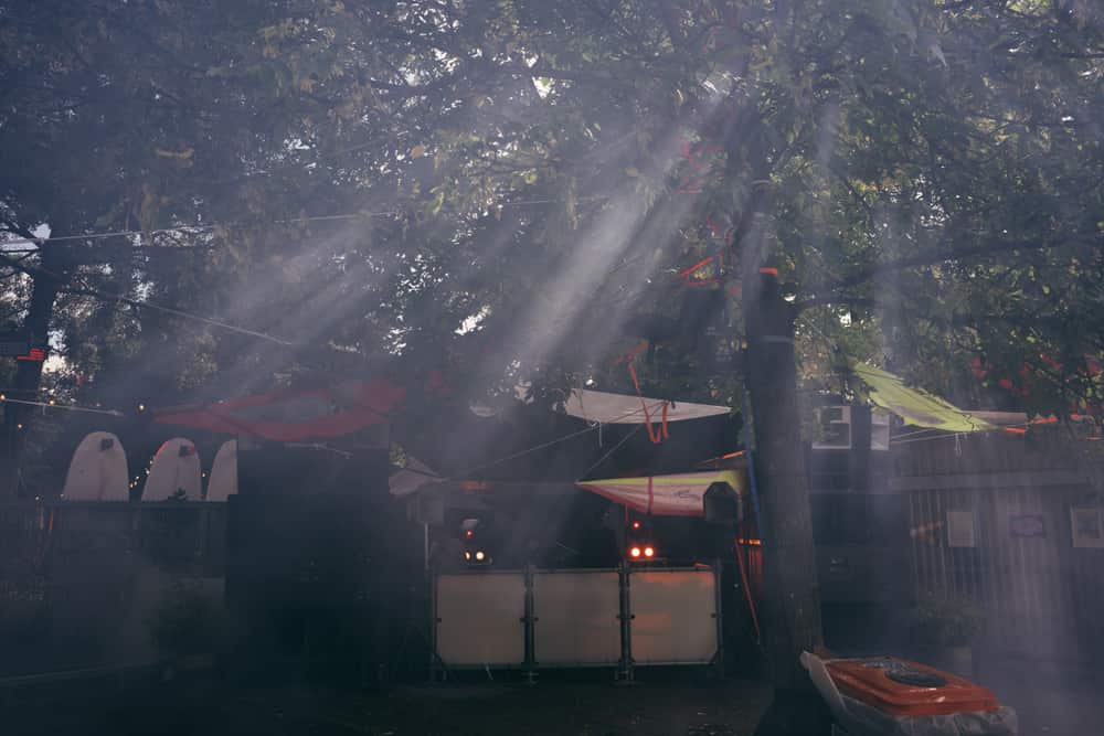 Sunbeams through the trees at Phono Lake