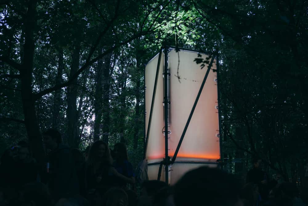 A starry cloth strung between the trees, afterhours